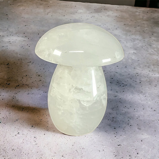 Quartz Mushroom QM102